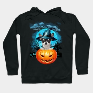 Black Chihuahua Witch Hat Pumpkin And Blue Moon Halloween Hoodie